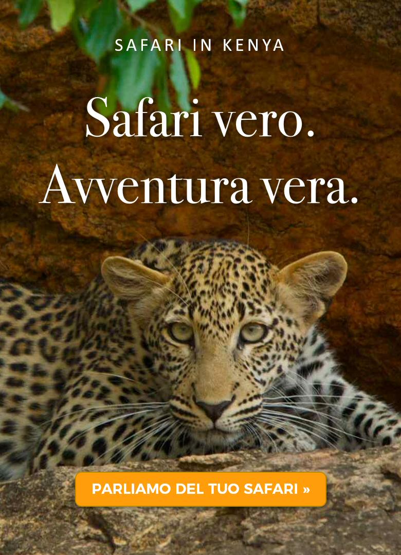 Safari vero. Avventura vera. Safari guidati in Kenya