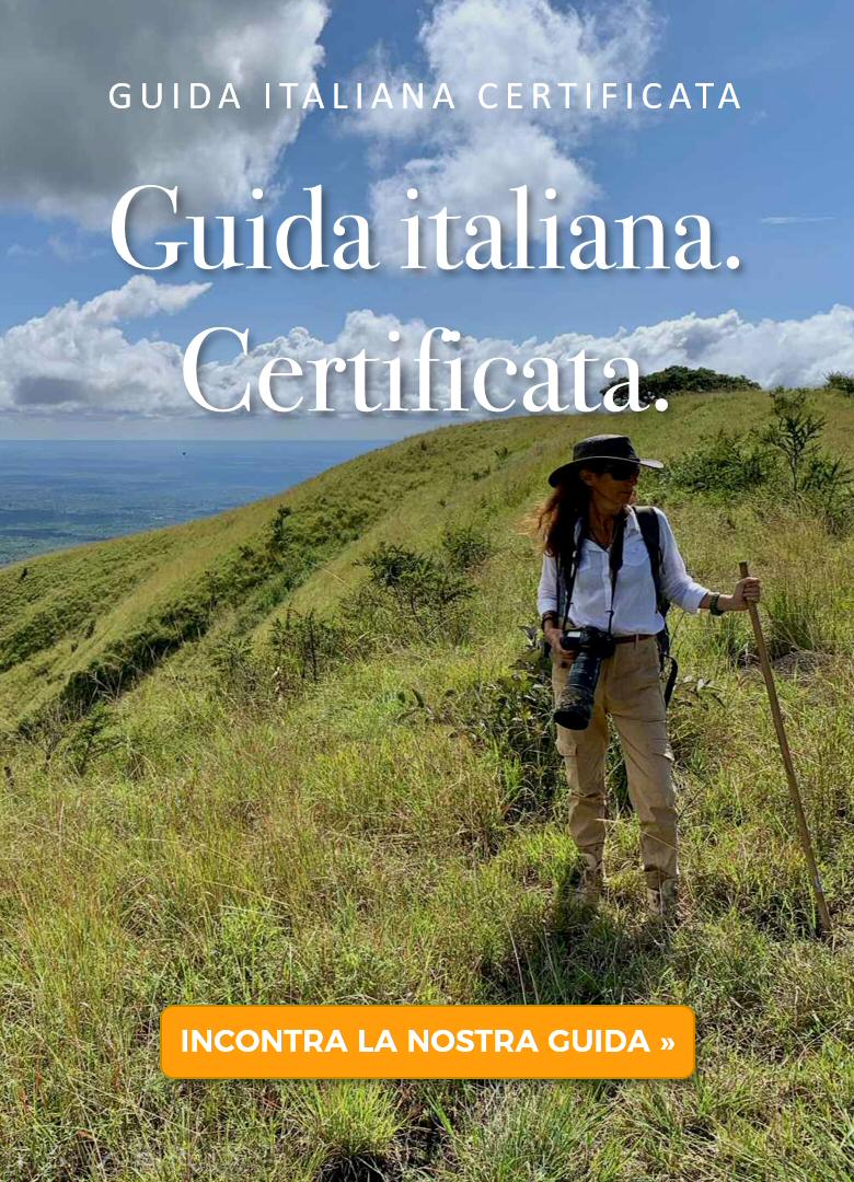 Safari in Kenya con guida italiana certificata
