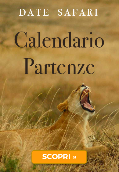 Calendario date partenze safari