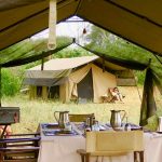The Bush Camp safari in Kenya