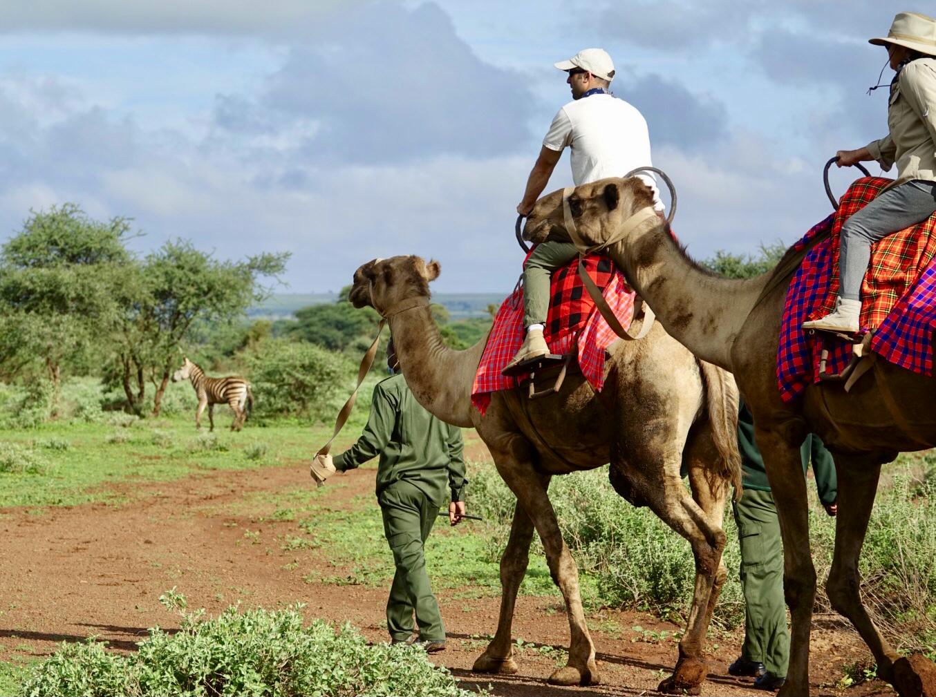 Safari in Kenya a dorso di dromedario