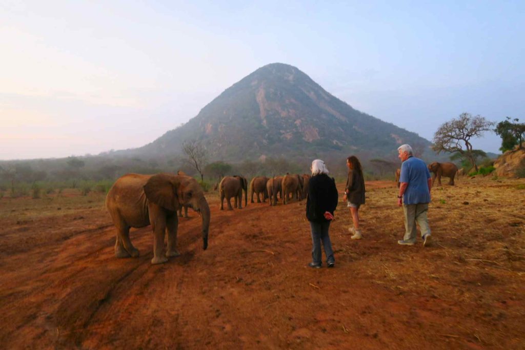 Blog: I safari in Kenya raccontati da Bush Company