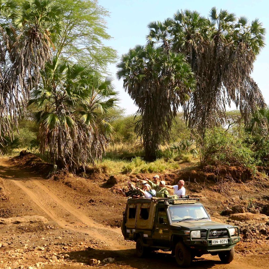 Safari in Kenya