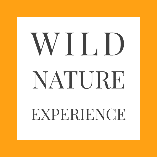Safari con noi : una wild nature experience
