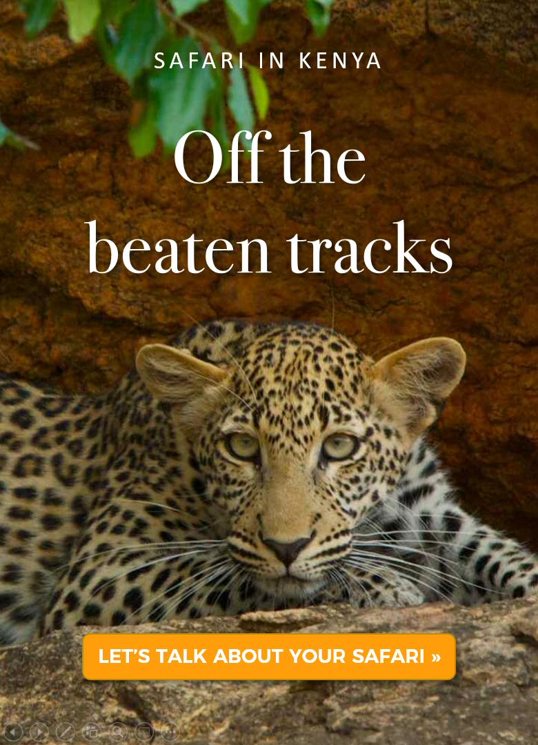 Safari In Kenya off the beaten tracks