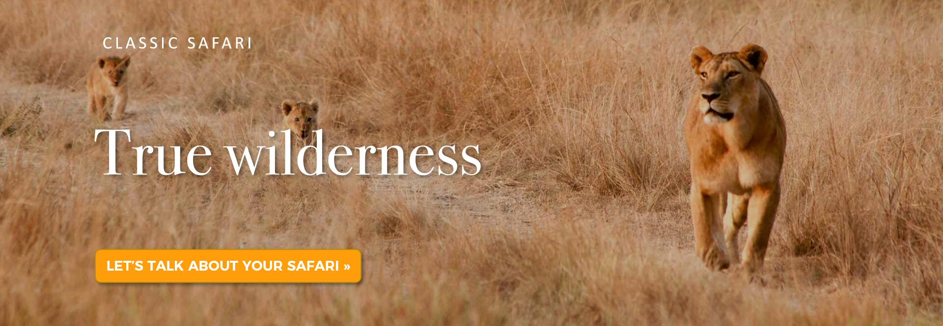 Safari Kenya: true wilderness