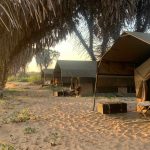 Bush Camp Safari in Kenya