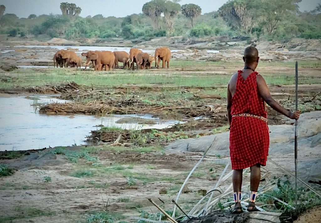 Safari privato in Kenya
