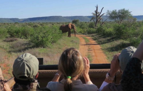 safari-kenya-savana-79
